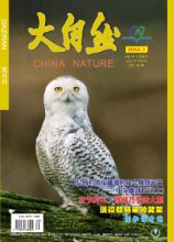 大自然
